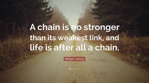 Chainlink (LINK) and Its