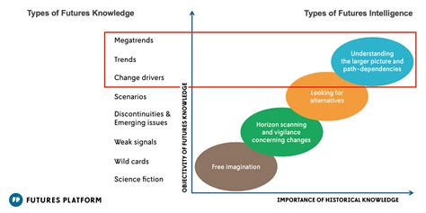 Understanding Market Signals: How