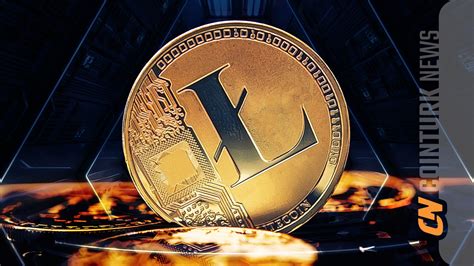 Litecoin (LTC): Understanding Its